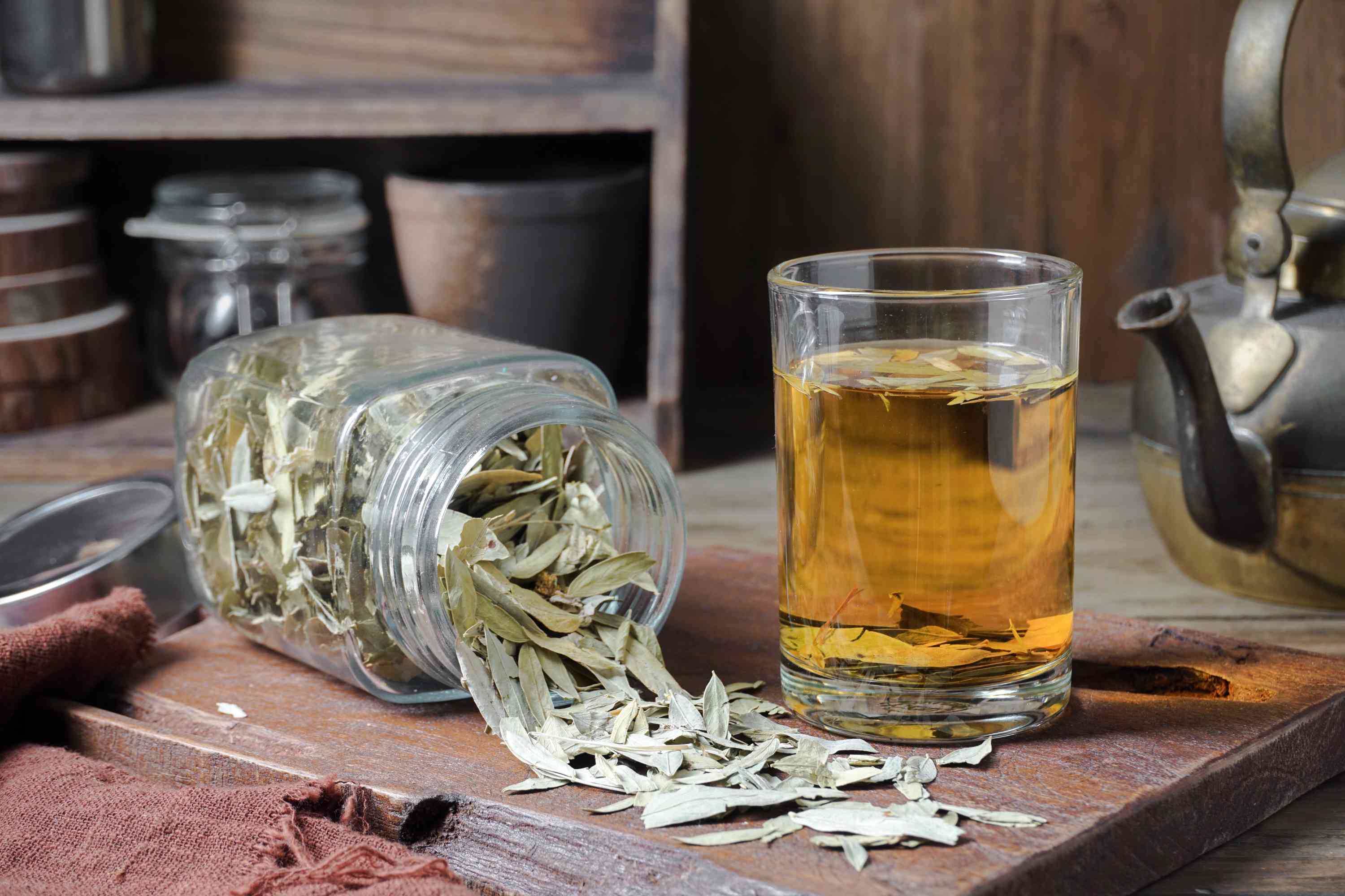 Senna Tea  Wholesale Manufacturer & Supplier in India